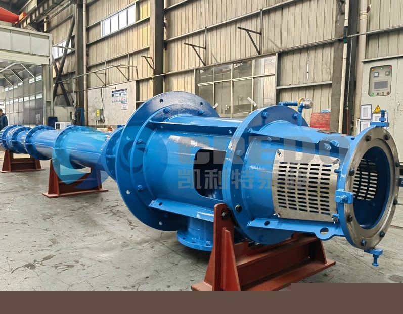 ម៉ាស៊ីនបូមទួរប៊ីនបញ្ឈរ api 610 ជាមួយម៉ាស៊ីនម៉ាស៊ូត
