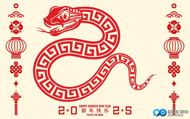 HAPPY CHINESE NEW JOER - 2025